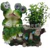 Decorações de sapo para exterior em resina, pingente de resina para interior, enfeites decorativos de resina para mesa, enfeites de sapo podem ser personalizados