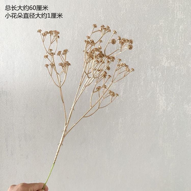 QQ图片20220505100534