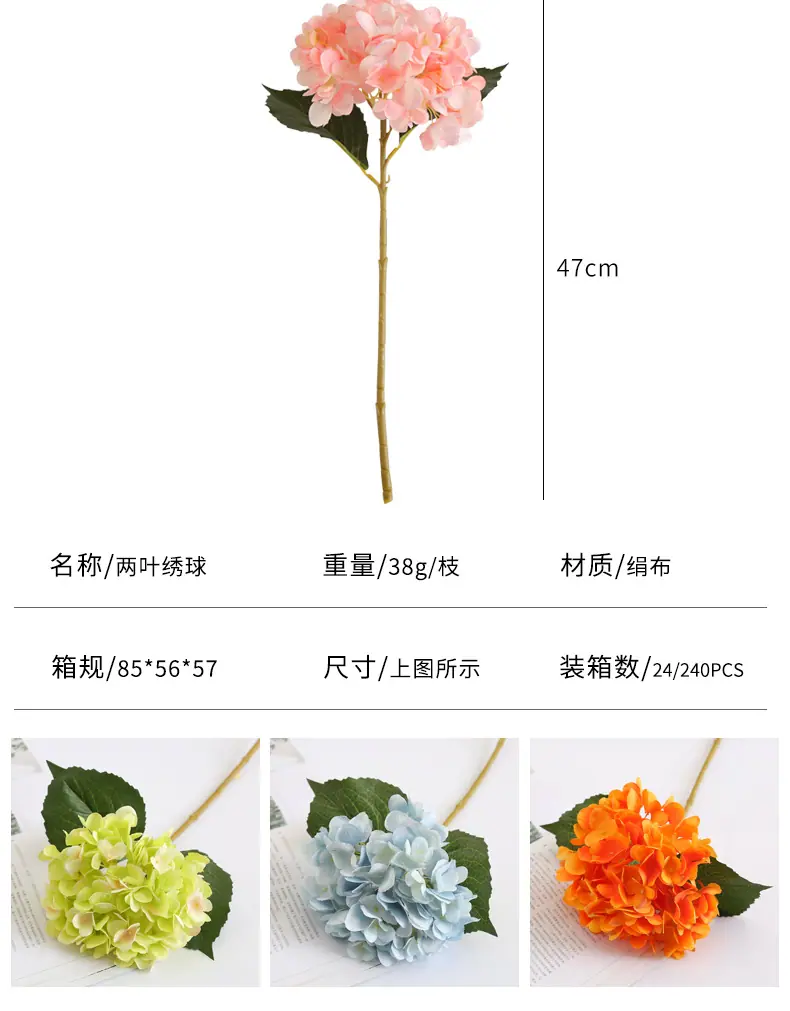 两叶绣-球_05.jpg