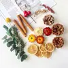 Paquete de Materiales para Creación de Entorno de Jardín de Infancia de Bellota de Fruta Piña Accesorios para Sesión de Fotos Decoración de Fruta Hecha a Mano DIY