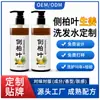 OEM/ODM de shampoo de folha de Platycladus orientalis, shampoo herbal para controle de oleosidade feito sob medida para homens e mulheres com Polygonum multiflorum