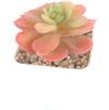Suculenta Artificial Cabeça de Flor de Suculenta Artificial Bonsai Artificial Acessórios DIY Fabricante Conjunto de Cabeças de Flor de Suculenta Cor Personalizada