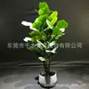 La nueva simulación de planta verde piano hoja Banyan maceta hogar Árbol de flores planta grande en maceta juego adornos al por mayor en stock