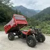 ATV Agrícola Cross-Country 250-350cc com Tração nas Quatro Rodas, Todo-o-Terreno, com Caixa de Carga, Veículo Off-Road de Quatro Rodas Refrigerado a Água para Transporte de Mercadorias