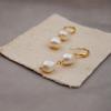 Aretes de Perlas de Agua Dulce, Estilo Palacio Retro, Aretes Estilo Europeo y Americano, Accesorios y Joyería Largos Personalizados Vintage Otoño e Invierno
