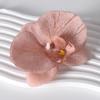 Pétalas da cabeça da flor Phalaenopsis acessórios de flor material de flor grampo de cabelo feito à mão diy decoração de adereço de cabeça material de flor
