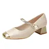 Nuevos Zapatos de Estilo Nacional Chino con Cheongsam, Nuevo Estilo de Primavera para Mujer, Zapatos Mary Jane de Tacón Grueso, Tacones Altos Franceses Suaves y Elegantes