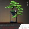 Adornos de Pino Zen de Bienvenida Simulados Nuevos Chinoiserie Hogar Plantas Verdes Bonsái Flores Falsas Hotel Sala de Estar Decoraciones de Entrada