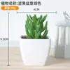 Simulación de plástico carnoso en maceta decoración de plantas verdes para el hogar adornos pequeños de escritorio maceta combinación de flores artificiales maceta accesorios para fotografía