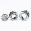 Tuerca Tipo K de Acero Inoxidable 304 con Dientes, Tapa de Tornillo Tipo K de Acero al Carbono Multidentada Estándar Americano M3M4M6M5M8M10