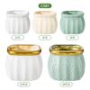 Maceta de Plástico Imitación Cerámica Estilo Nórdico Personalidad Creativa Borde Dorado Pothos Maceta para Suculentas Jarrón Retro Fabricante Venta al por Mayor