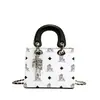 Dropshipping Bolsa de Princesa Diana con Estampado de Dibujos Animados de Moda Nuevo Estilo Otoño e Invierno 2025 Bolso de Mano de Gama Alta Venta al por Mayor