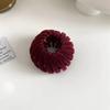 Nuevo anillo para el cabello con forma de nido de pájaro y diamantes de imitación galvanizados, cabeza de espiral perezosa, coleta alta, horquilla telescópica con agarre flocado, tocado