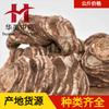 Chonglou 1000g Huamei Medicina Tradicional China Materiales Medicinales Chinos Suministro al por Mayor Chonglou Flor Siete Hojas y Una Rama Productos Nuevos