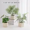 Plantas Verdes Artificiales, Flores Falsas, Flores Artificiales, Plantas Pequeñas de Escritorio en Maceta, Adornos Decorativos, Estanterías, Plantas Verdes Artificiales, Accesorios de Fotografía