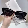 Nuevas gafas de sol estilo Y2K para adelgazar el rostro, gafas de sol retro de alta gama estilo ojo de gato, moda callejera, estilo ins Xiaohongshu