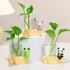 Desenho Animado Sapo Pet Fofo Pesca Pothos Vaso Hidropônico Cultura em Água Planta Recipiente para Flores Decoração de Arranjo de Flores para Sala de Estar Presente Criativo