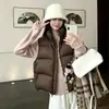Nova Coleção Outono/Inverno 2026 Colete Quente sem Mangas Tamanho Plus Size Feminino Gola Alta Estilo Coreano Moda Outwear Off-White