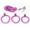 Dispositivo de castidad masculino con cerradura oculta, jaula para pájaros, ejercicio, anillo de bloqueo de pene CB, cerradura de castidad enrollada, abstinencia, juguetes sexuales para adultos.