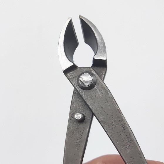 2024-11-12 09:22:33.jpg