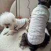 Estilo Ins Otoño e Invierno Chaleco para Cachorro Oso Chaleco Camisa Base Traje de Dos Piezas para Gato Ropa para Perros Mascota