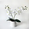 Planta de orquídea Phalaenopsis artificial de 2 ramas y 12 flores en maceta con textura realista, planta verde de flor artificial bonsái para decoración de hotel y boda, maceta pequeña