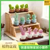 Cactus Impreso en 3D Adorno de Escritorio Modelo Decoración Paisajismo Cactus de Amor Planta Pequeña en Maceta Bonsái Artificial para Uso Doméstico