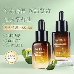 仙人掌汇总主图