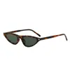 Gafas de Sol Triangulares Ojo de Gato para Mujer Sentido de Alta Gama Personalidad Montura Pequeña Gafas Transfronterizas Moda Populares en Internet Fotografía Callejera Gafas de Sol Nuevas