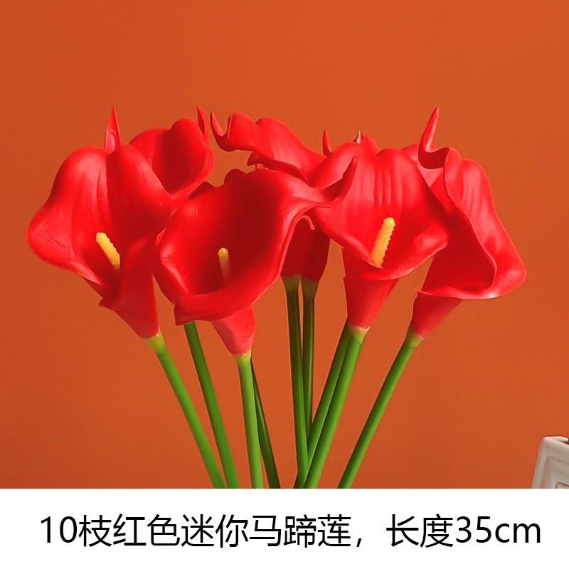 10红