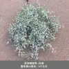 Pico de bambu de galho alto céu estrelado dente-de-leão verde escuro verde claro estilo floresta celebração de casamento decoração marcador de corredor arranjo de flores teto alto material de folha