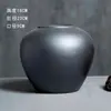 Vaso de Cerâmica Holly Salgueiro da Neve Salgueiro Prateado Diâmetro Grande Planta Verde Simples Mesa de Jantar Ajuste de Água Arranjo de Flores Enfeites