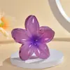 Grampo de Cabelo Flor Bauhinia Ovo Amazon Transfronteiriço para Parte de Trás da Cabeça Feminina Presilha Disquinho Pinça Jacaré Acessórios de Cabelo