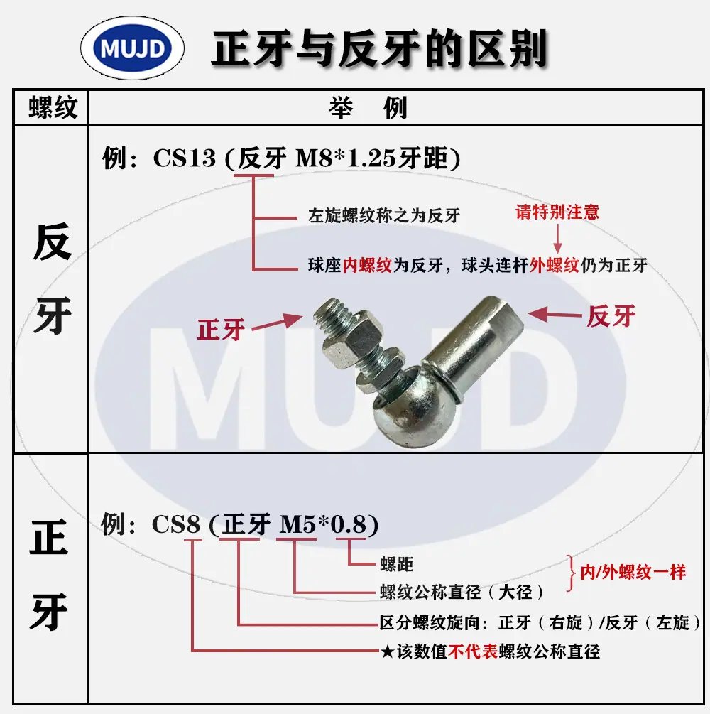 正反牙区2.jpg