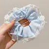 Gravata de Cabelo Elegante e Suave Estilo Coreano 2025 para Mulheres, Nova Faixa de Cabelo de Renda para Penteados de Coque, Acessório de Cabelo