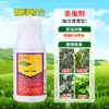 Plántulas de Flor Chujie Verde Flotante, Cochinilla Algodonosa de Lagerstroemia, Cochinilla Blanca de Cera, Cochinilla Blanca de Morera, Cochinilla de Cera de Tortuga, Cochinilla Algodonosa, Insecticida Especial