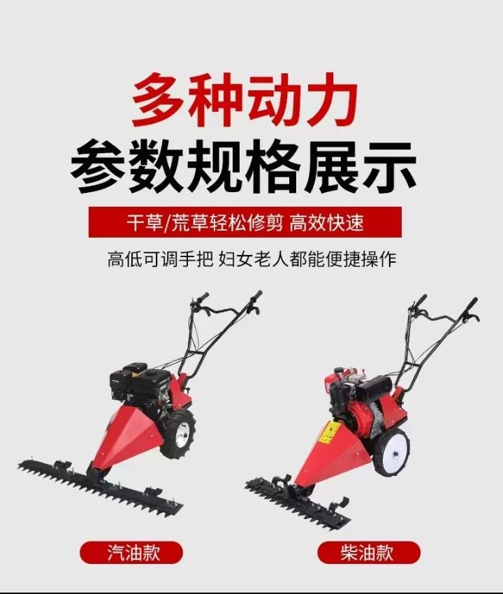 微信图片_20250719104827.jpg