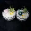 Cristal Natural Fortuna Micro Paisagem Abacaxi do Ar Desmagnetizado Cascalho de Cristal Branco Lingote Decoração de Mesa para Casa Ornamentos