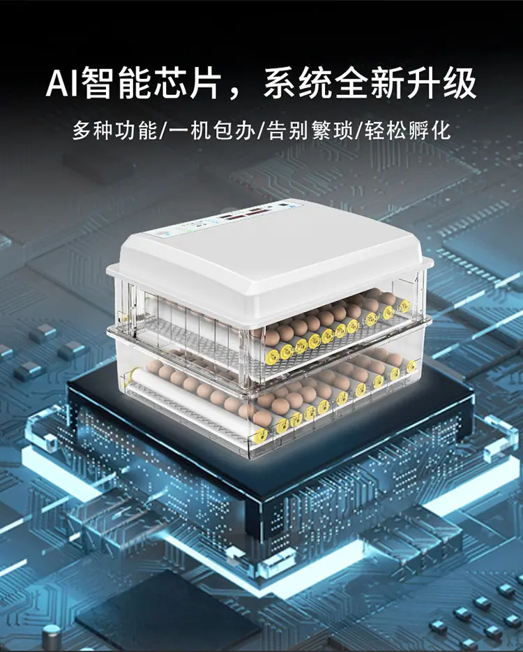 白壳详情1_09