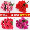 Rama de Azalea Simulada Rododendro Flor Artificial de Plástico Cama de Flores Decoración de Paisajismo Proyecto Flor de Seda Insertada Escena Comercial Área Escénica Paisajismo