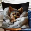 Fundas de Almohada de Animales Más Vendidas de Temu, Fundas de Almohada de Animales Lindas para Dormitorio, Hogar y Decoración de Sofá, Al por Mayor