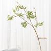 Planta de Grama Polonesa Simulação Nórdica Mobiliário para Casa Decoração de Sala Modelo Arranjo de Flores para Fundo de Casamento Simulação Vagabella Ornamentos de Planta Verde