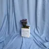 Tela de Fondo para Foto Tamaño Grande Ins Influencer Transmisión en Vivo Fotografía Color Sólido Tela Colgante Decoración de Dormitorio Accesorios