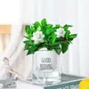 Árbol del Dinero Planta Verde Flor de Gardenia Planta Pequeña en Maceta de Escritorio Sábila Planta Suculenta Potos Hidropónico Fácil de Cuidar en la Oficina