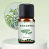 Aceite Esencial de Árbol de Té Transfronterizo Teatreeoil Aromático Libre de Minerales Aceite Esencial de Planta Única Melaleuca Árbol de Té Australiano