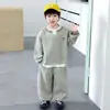 Conjunto de Roupas de Outono para Meninos 2026 Novo Estilo Legal Estilo de Rua Bebê Primavera e Outono Moletom Listrado Falso Duas Peças Solto Roupa Esportiva