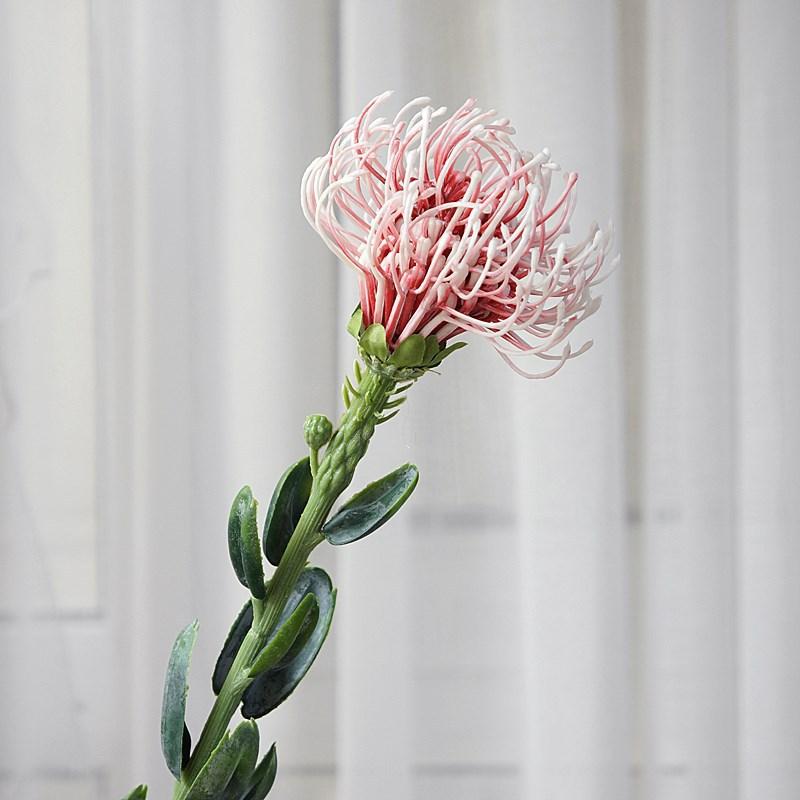 一键复制_20201118110811