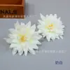 Flor Artificial Flor Pequeña de Epiphyllum Diámetro 12cm Flor de Epiphyllum Flor Linterna Arreglo Floral Estilo Antiguo Accesorios para Fotos Flor Falsa Pared de Flores Arreglo Floral