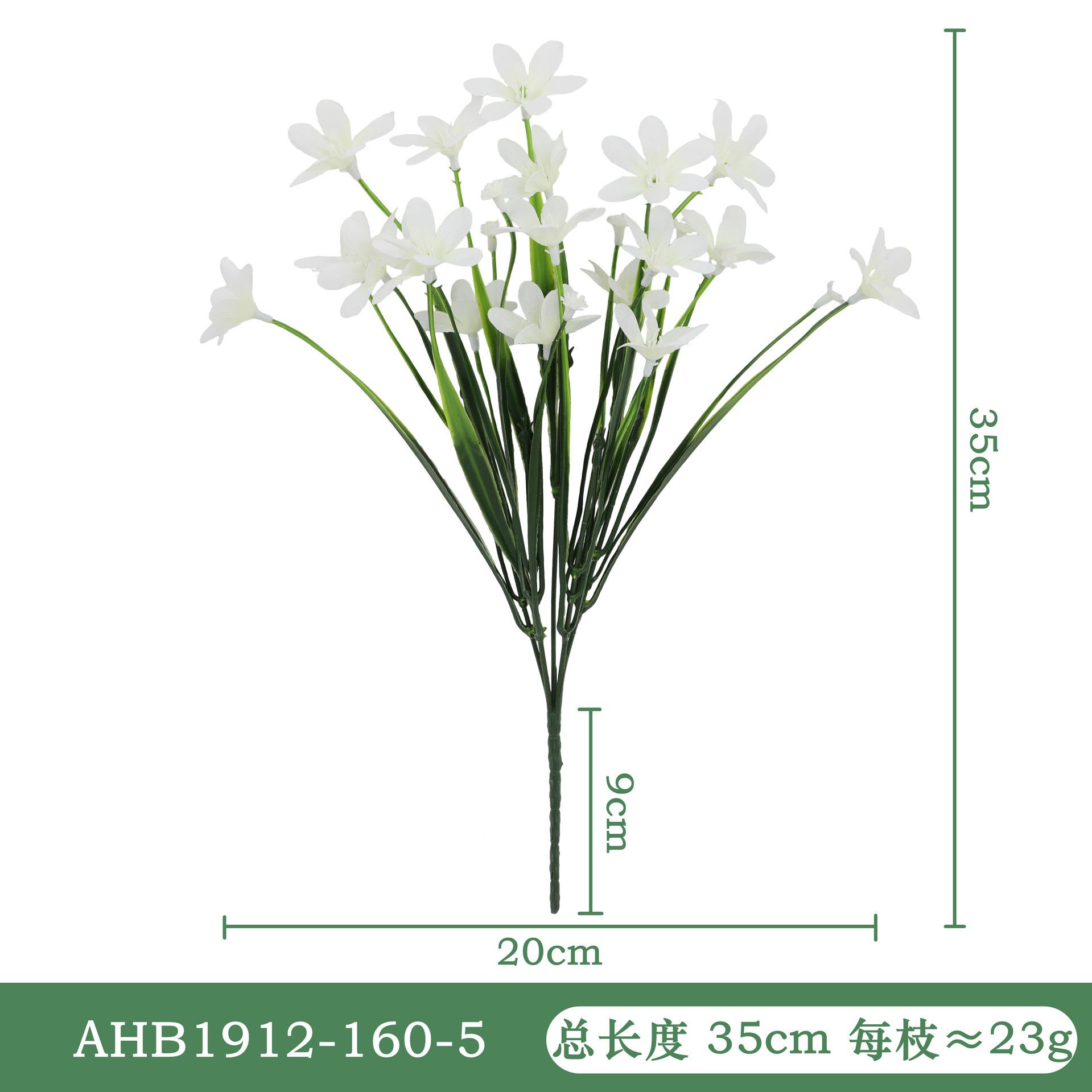 春草兰花-白色AHB1912.jpg