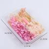 Caixa de Flores Secas Mistas DIY Pacote de Material para Flores Eternas Bolsa de Flores Secas Mistas Artesanais Flor Real Vento Natural Seco Decoração Estilo Ins